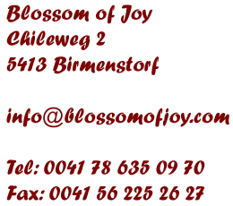 blossom of joy